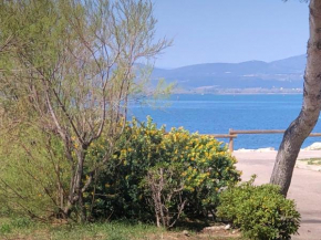 Appartement T2, 4 Couchages, Terrasse, Jardinet, Parking, Proche Commerces et Plage, Le Barcarès - FR-1-81-298
